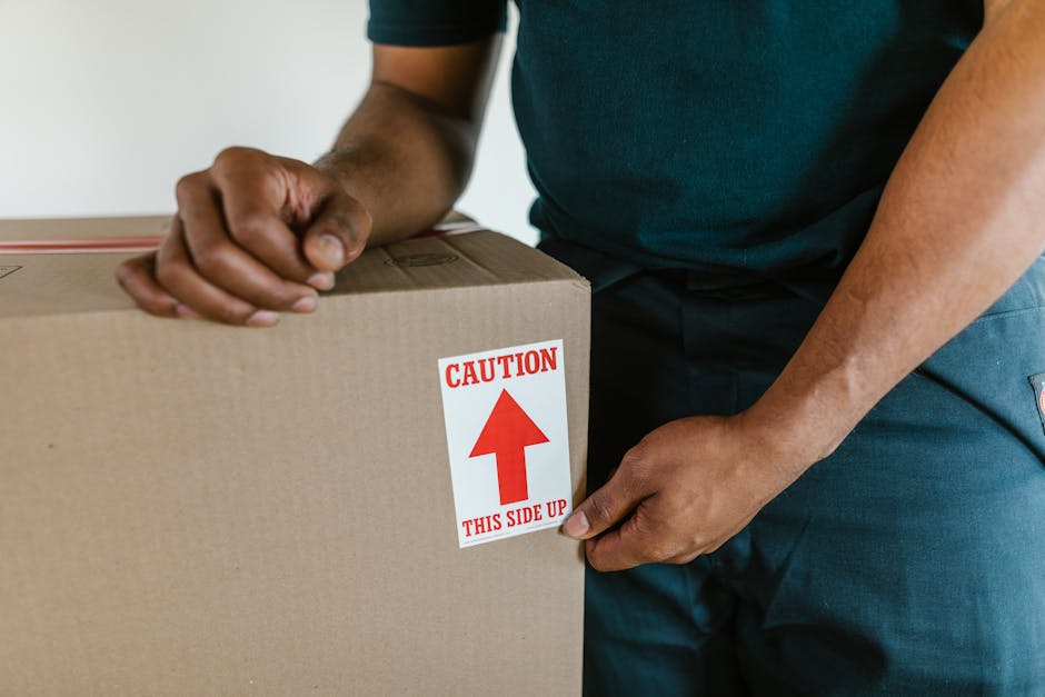 A man with curly hair wearing a blue T-shirt and dark trousers sitting on a wooden floor inside a room with two large arched windows, through which a street scene with parked cars and buildings is visible. He is surrounded by several cardboard boxes, some sealed with red tape and others open or partially closed, indicating a packing and moving process. A tall potted plant with broad green leaves is positioned near one of the windows, adding a touch of greenery to the space. The room is illuminated by natural daylight streaming in through the windows, highlighting the wooden flooring and the informal atmosphere of a home relocation. The boxes are arranged close to the man, who appears to be resting or waiting during a packing or loading stage, with the presence of [COMPANY_NAME], such as Man with Van Leyton, implied in the context of furniture transport and home removals.